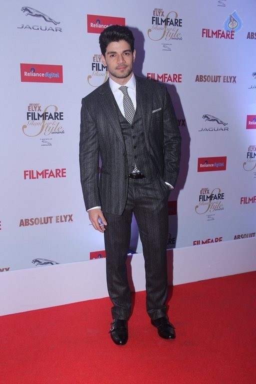 Filmfare Glamour and Style Awards 2015 - 30 / 42 photos