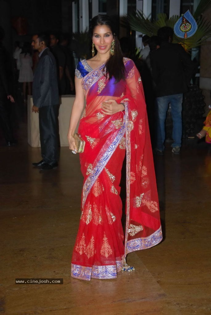 Genelia n Ritesh Reception Photos - 02 - 79 / 144 photos