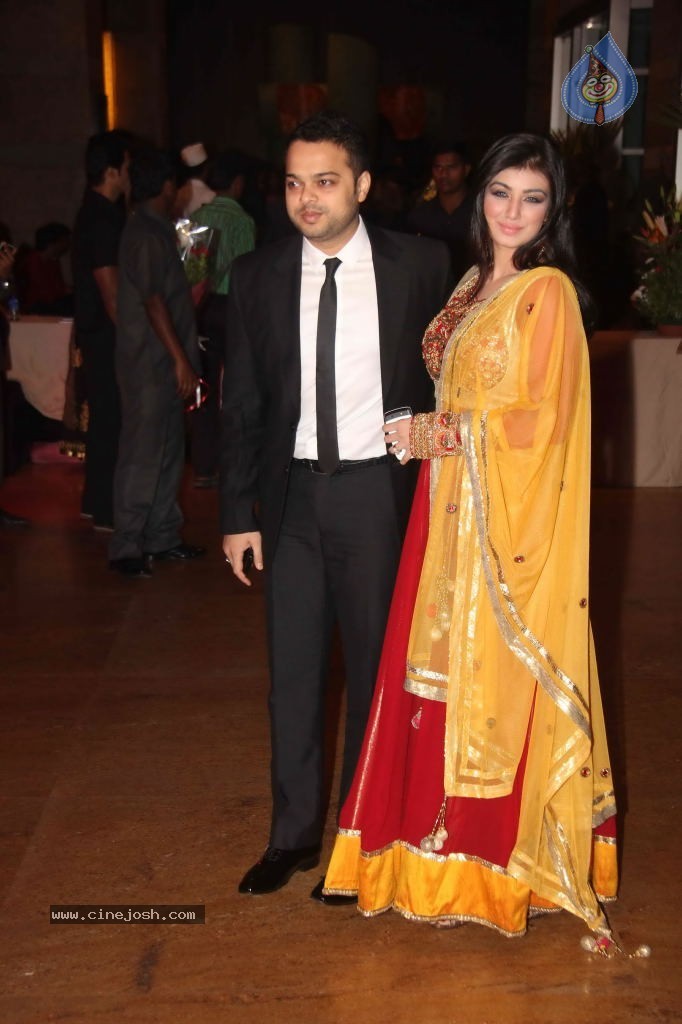 Genelia n Ritesh Reception Photos - 02 - 99 / 144 photos