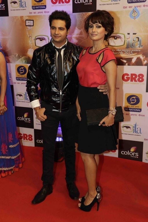 GR8 Indian Television Awards 2015 - 22 / 28 photos