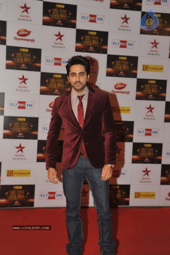 Hot Bolly Celebs at Big Star Entertainment Awards - 86 / 92 photos
