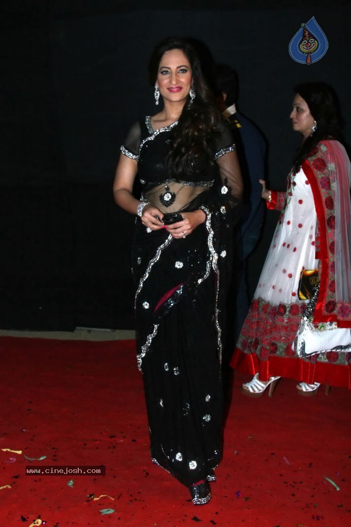 Hot Bolly Celebs at Colors Golden Petal Awards - 22 / 125 photos