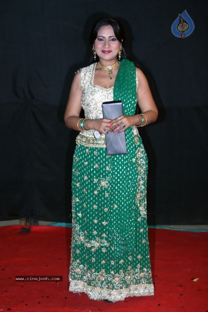 Hot Bolly Celebs at Colors Golden Petal Awards - 86 / 125 photos