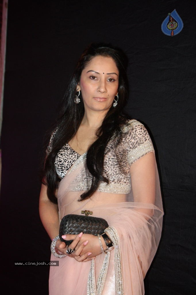 Hot Bolly Celebs at Stardust Awards - 114 / 122 photos