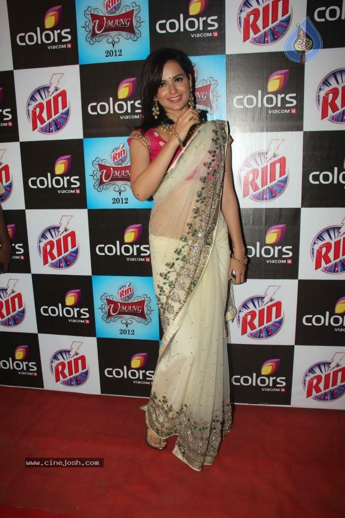 Hot Bolly Celebs at Umang 2012 - 142 / 149 photos