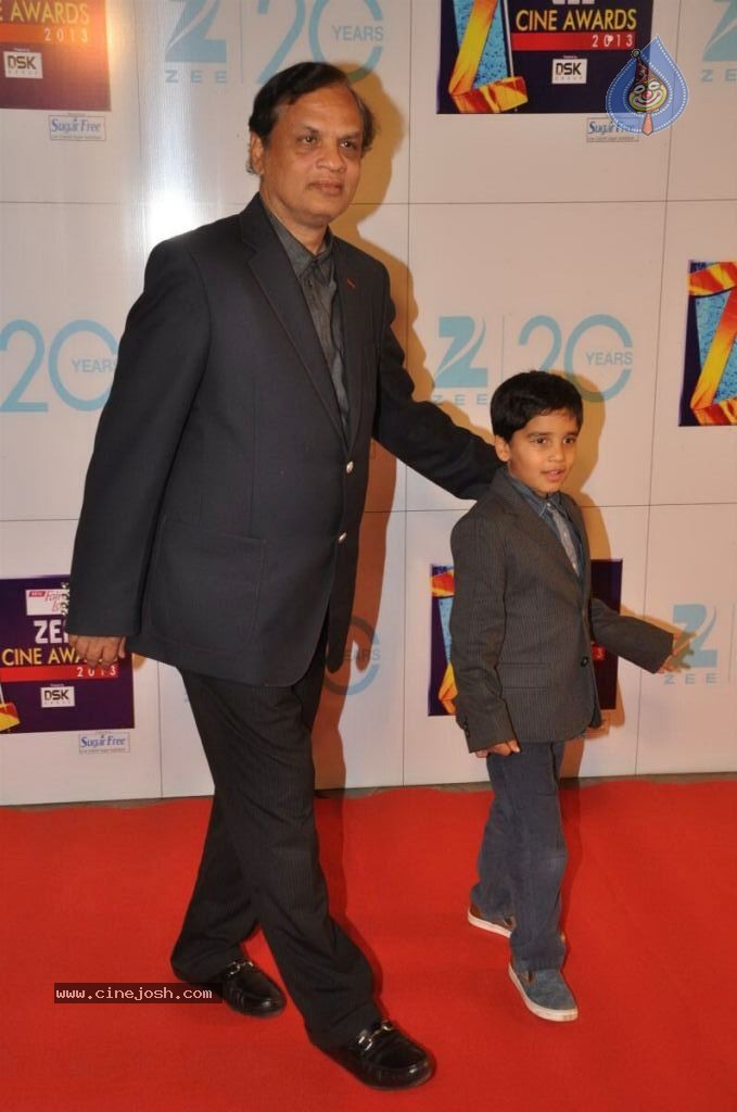 Hot Bolly Celebs at ZEE CINE AWARDS 2013 - 3 / 88 photos