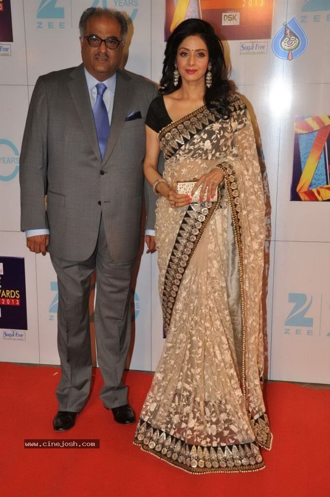 Hot Bolly Celebs at ZEE CINE AWARDS 2013 - 4 / 88 photos