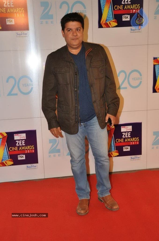Hot Bolly Celebs at ZEE CINE AWARDS 2013 - 12 / 88 photos