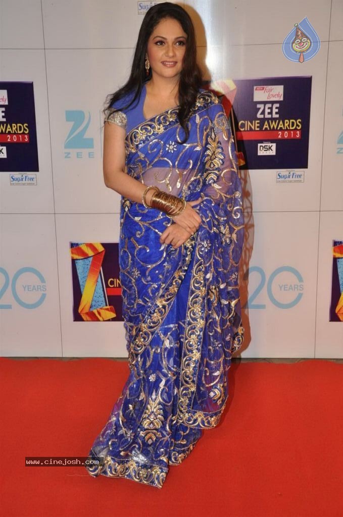 Hot Bolly Celebs at ZEE CINE AWARDS 2013 - 13 / 88 photos