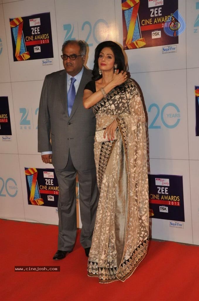 Hot Bolly Celebs at ZEE CINE AWARDS 2013 - 18 / 88 photos