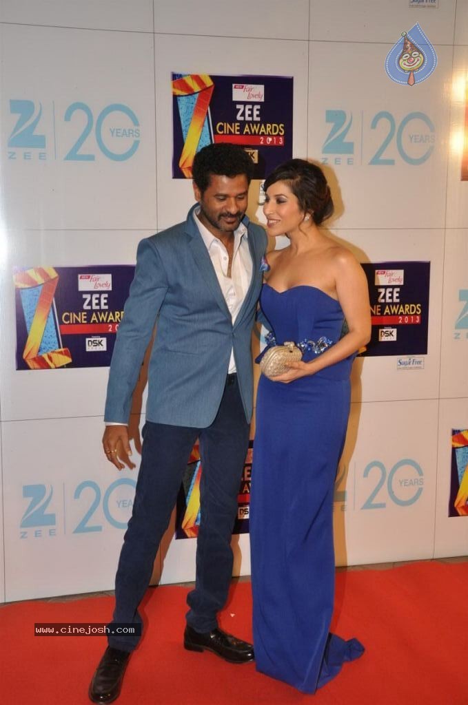 Hot Bolly Celebs at ZEE CINE AWARDS 2013 - 21 / 88 photos