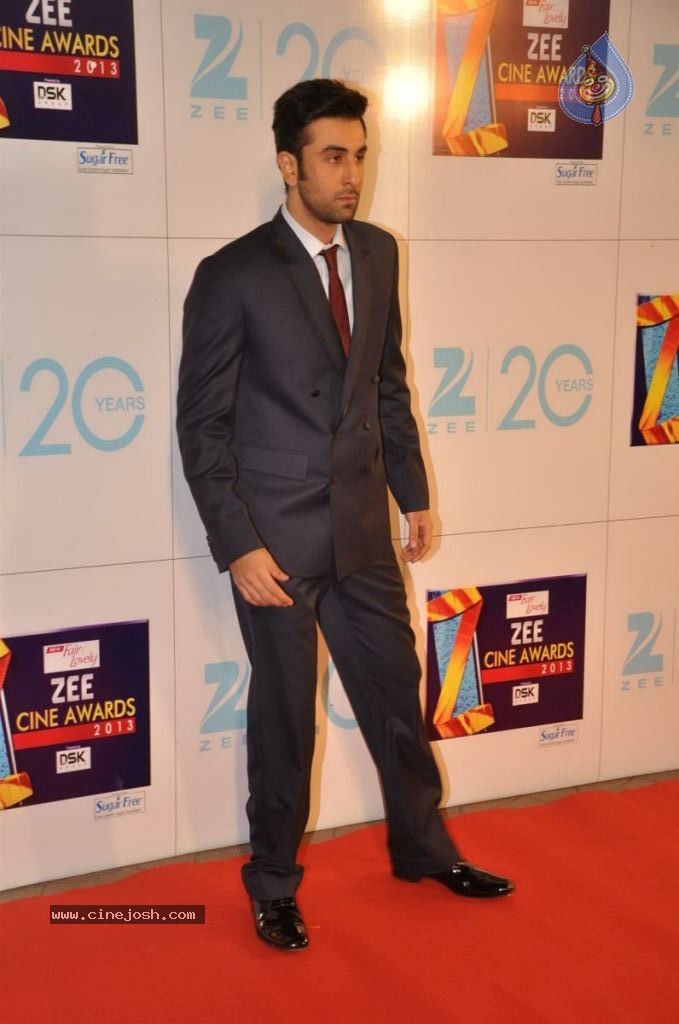 Hot Bolly Celebs at ZEE CINE AWARDS 2013 - 24 / 88 photos