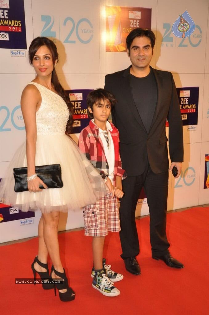 Hot Bolly Celebs at ZEE CINE AWARDS 2013 - 25 / 88 photos