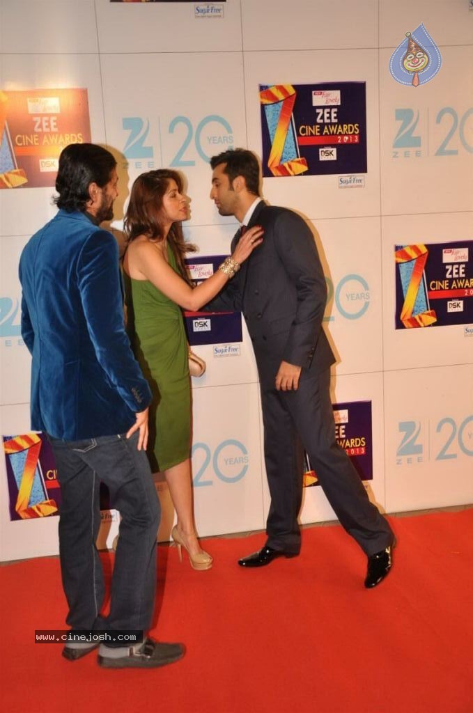 Hot Bolly Celebs at ZEE CINE AWARDS 2013 - 27 / 88 photos