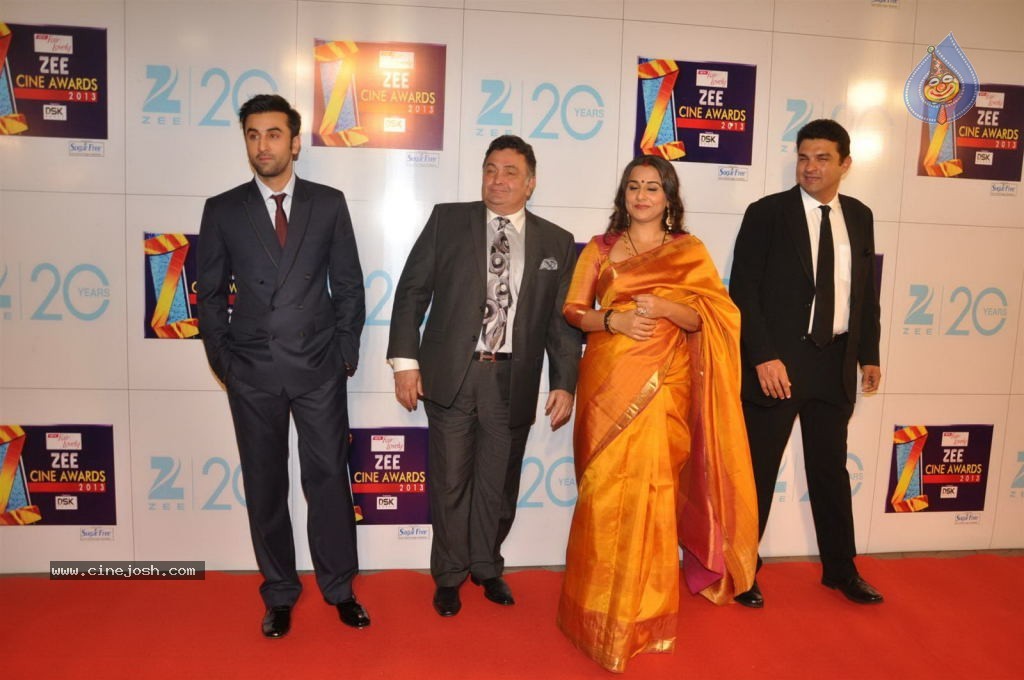 Hot Bolly Celebs at ZEE CINE AWARDS 2013 - 28 / 88 photos