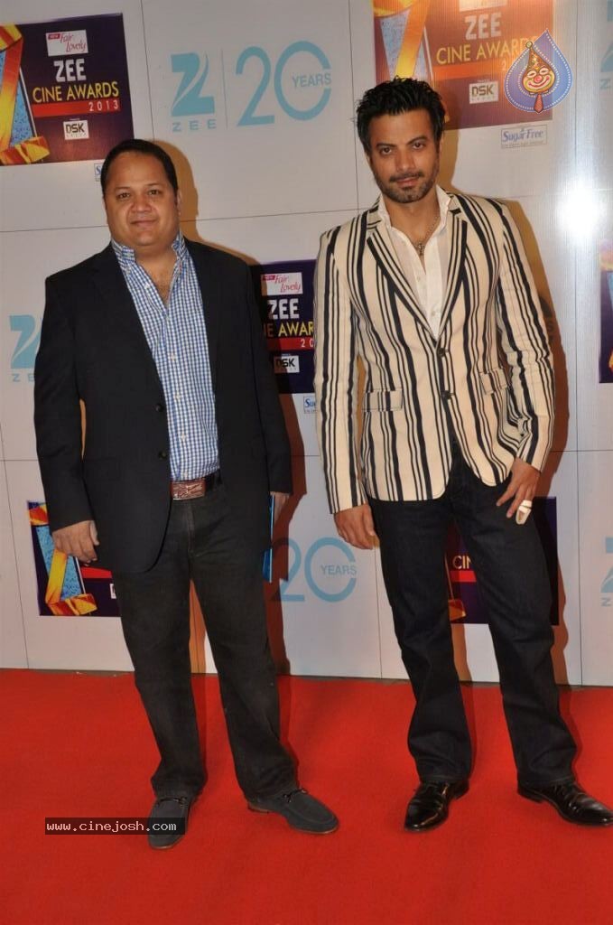 Hot Bolly Celebs at ZEE CINE AWARDS 2013 - 31 / 88 photos