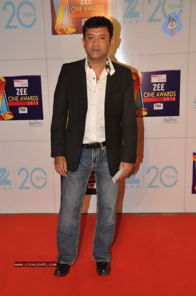 Hot Bolly Celebs at ZEE CINE AWARDS 2013 - 32 / 88 photos