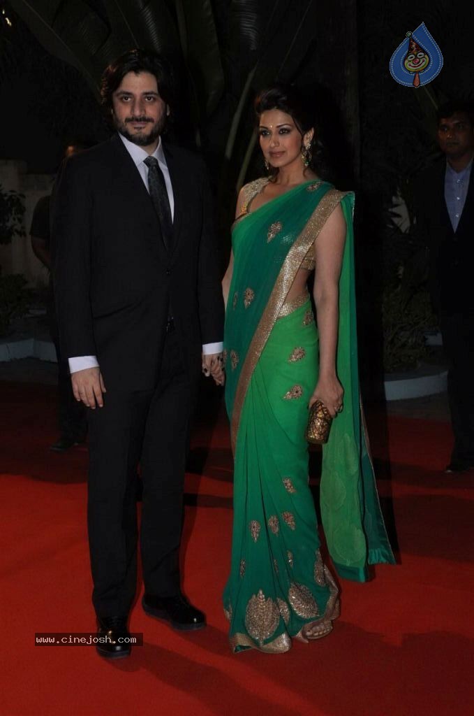 Hot Bolly Celebs at ZEE CINE AWARDS 2013 - 39 / 88 photos