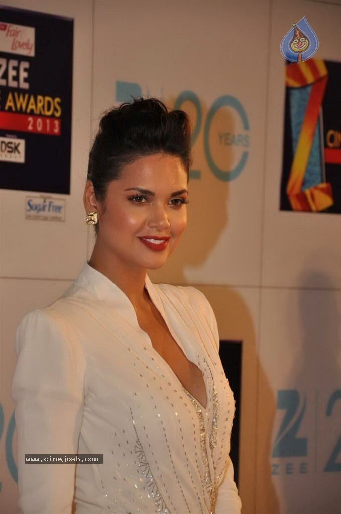 Hot Bolly Celebs at ZEE CINE AWARDS 2013 - 45 / 88 photos