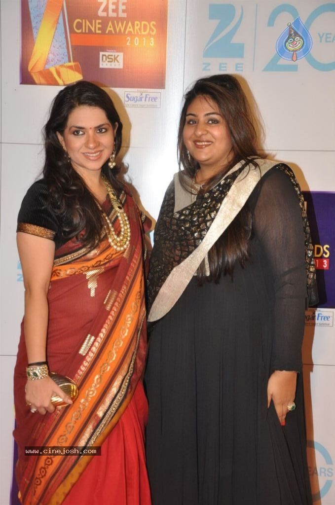 Hot Bolly Celebs at ZEE CINE AWARDS 2013 - 48 / 88 photos