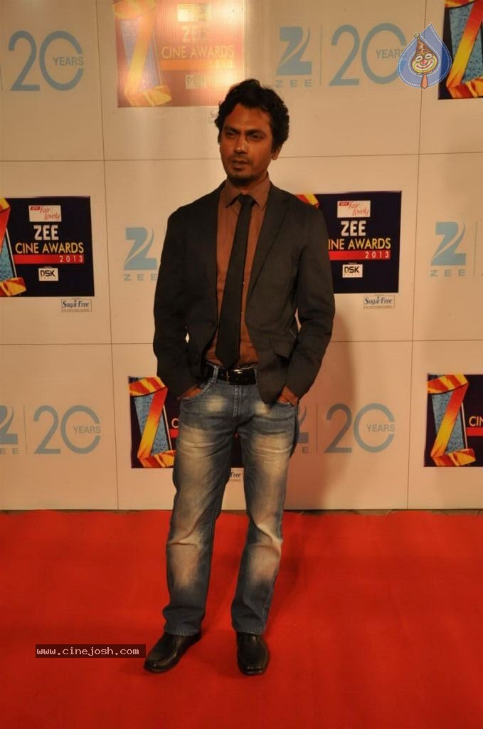 Hot Bolly Celebs at ZEE CINE AWARDS 2013 - 54 / 88 photos