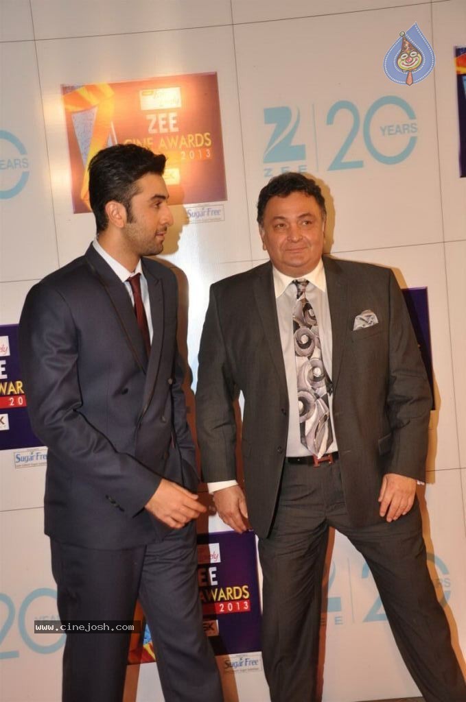 Hot Bolly Celebs at ZEE CINE AWARDS 2013 - 55 / 88 photos