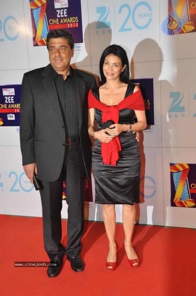 Hot Bolly Celebs at ZEE CINE AWARDS 2013 - 58 / 88 photos