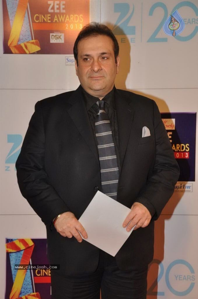 Hot Bolly Celebs at ZEE CINE AWARDS 2013 - 61 / 88 photos