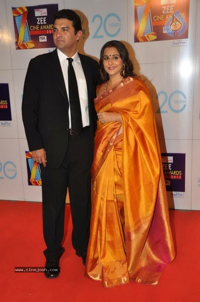 Hot Bolly Celebs at ZEE CINE AWARDS 2013 - 63 / 88 photos