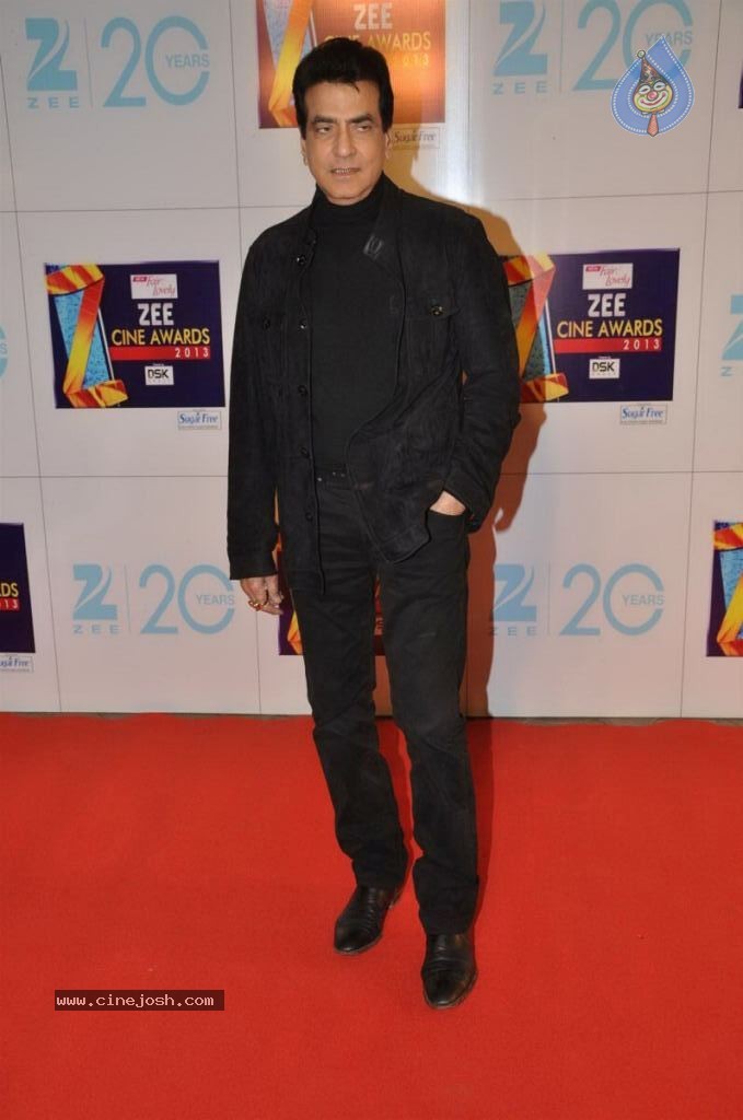 Hot Bolly Celebs at ZEE CINE AWARDS 2013 - 85 / 88 photos