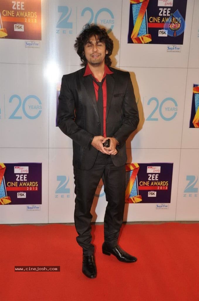 Hot Bolly Celebs at ZEE CINE AWARDS 2013 - 87 / 88 photos