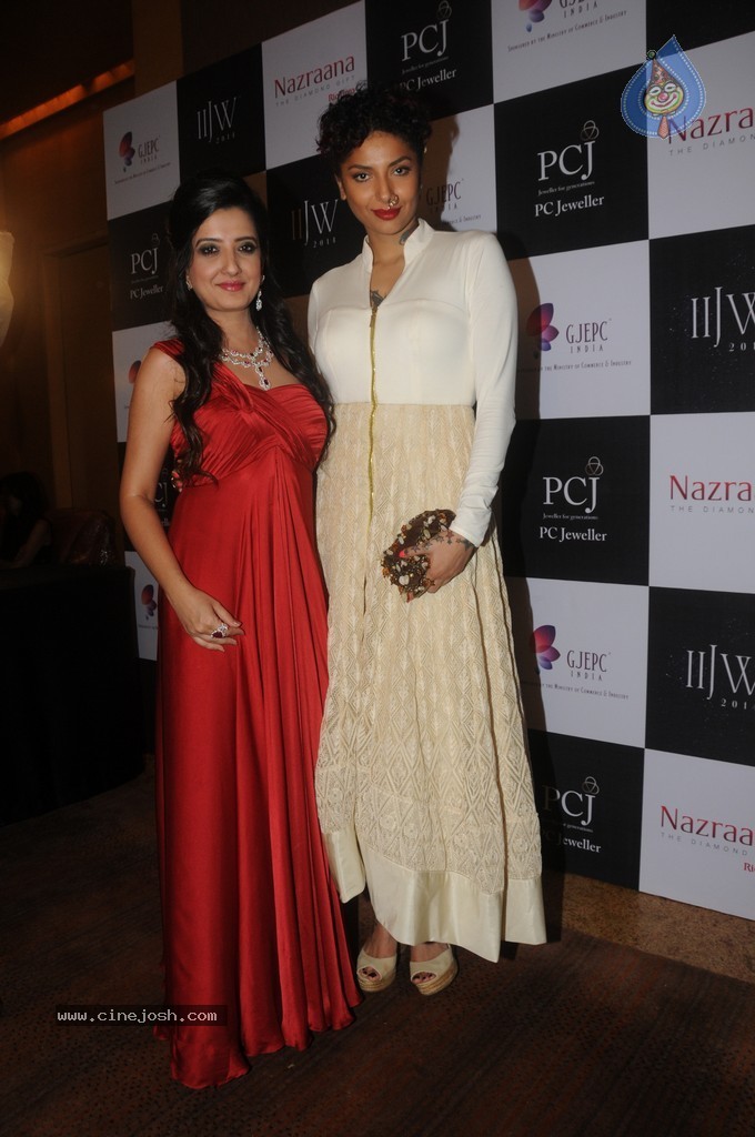 Bolly Celebs Walks the Ramp at IIJW 2014 - 2 / 152 photos