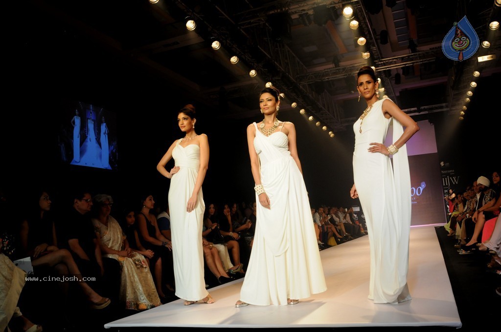 Bolly Celebs Walks the Ramp at IIJW 2014 - 9 / 152 photos