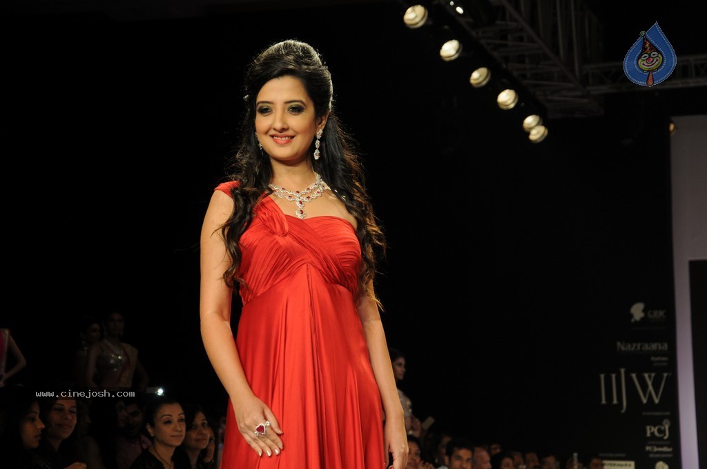 Bolly Celebs Walks the Ramp at IIJW 2014 - 22 / 152 photos