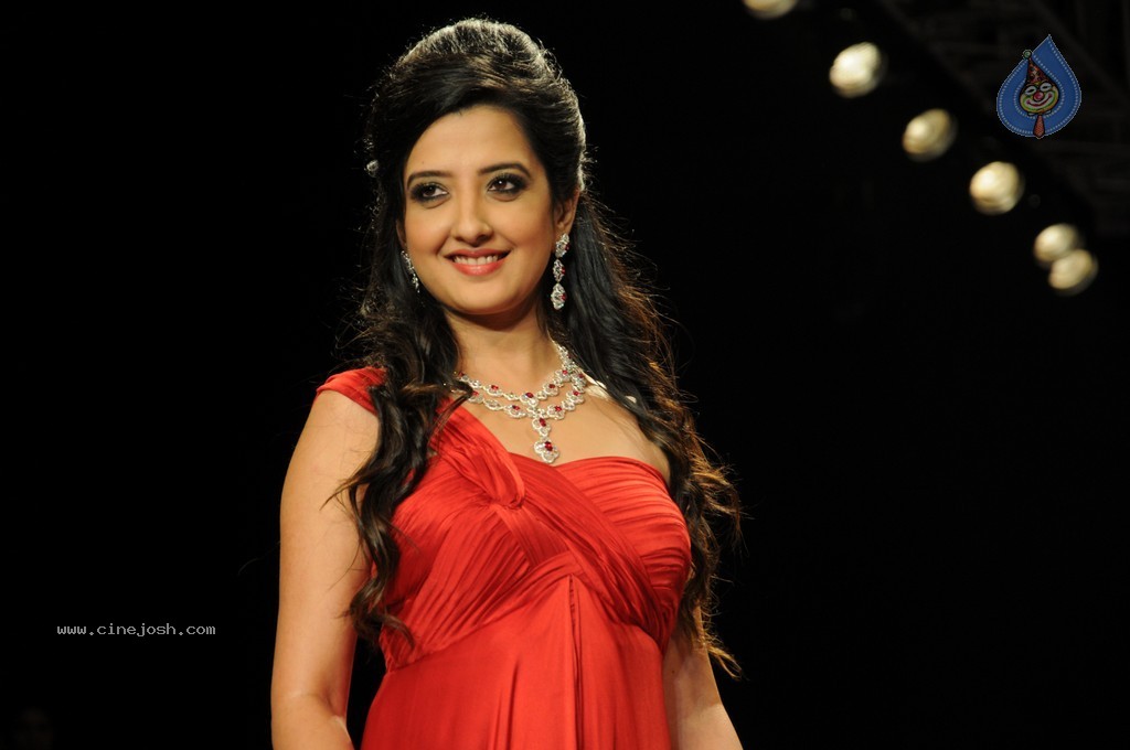 Bolly Celebs Walks the Ramp at IIJW 2014 - 25 / 152 photos