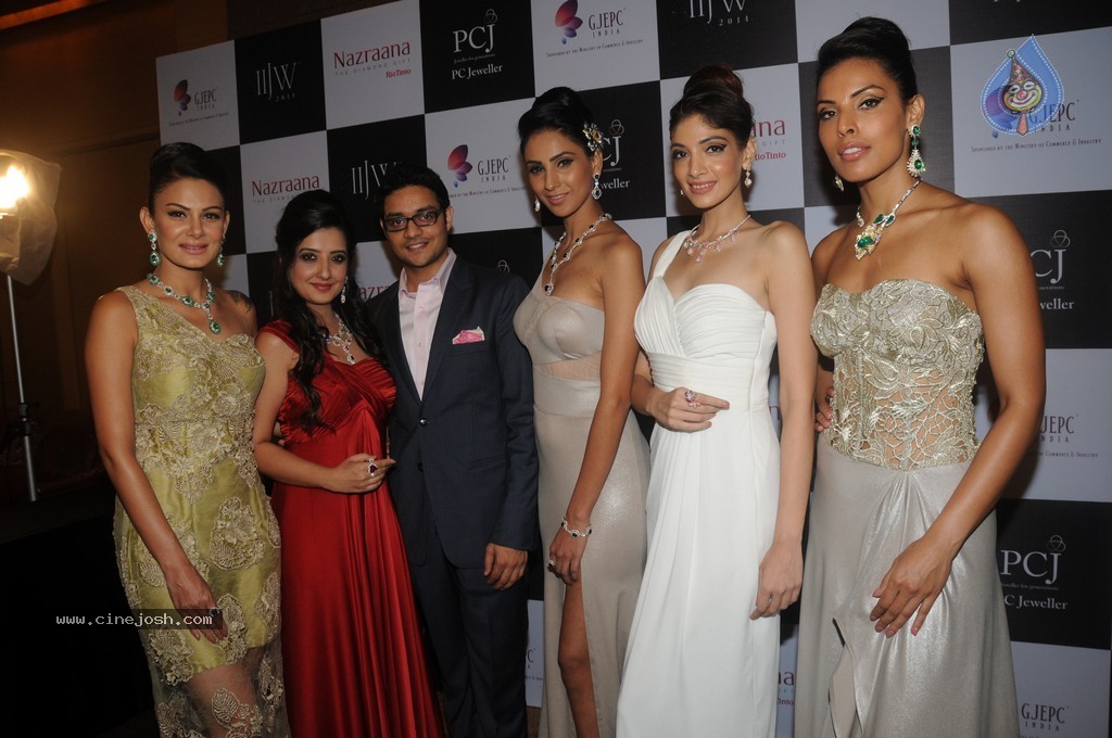 Bolly Celebs Walks the Ramp at IIJW 2014 - 28 / 152 photos
