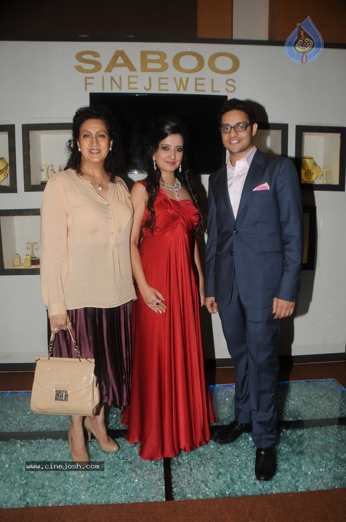 Bolly Celebs Walks the Ramp at IIJW 2014 - 42 / 152 photos