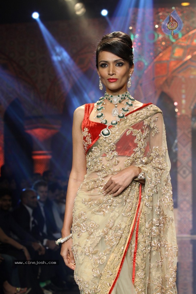 Bolly Celebs Walks the Ramp at IIJW 2014 - 53 / 152 photos