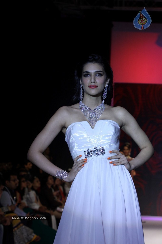 Bolly Celebs Walks the Ramp at IIJW 2014 - 78 / 152 photos