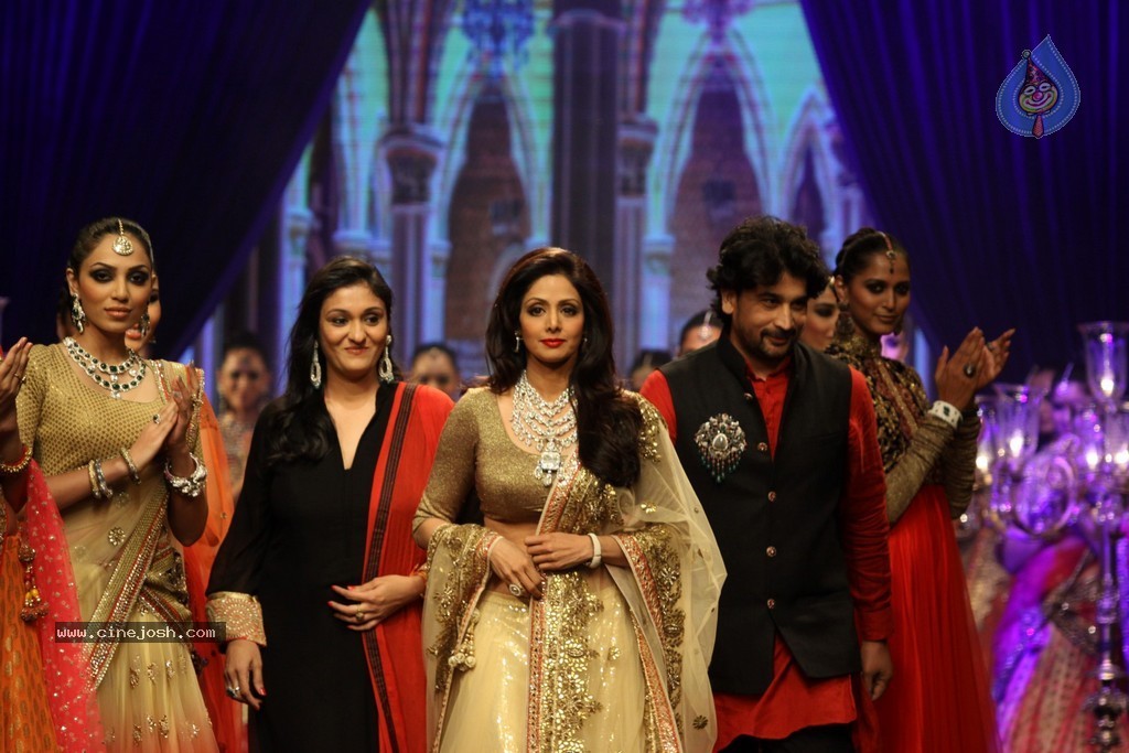 Bolly Celebs Walks the Ramp at IIJW 2014 - 90 / 152 photos