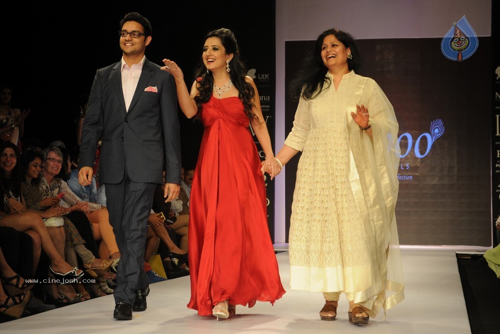 Bolly Celebs Walks the Ramp at IIJW 2014 - 107 / 152 photos