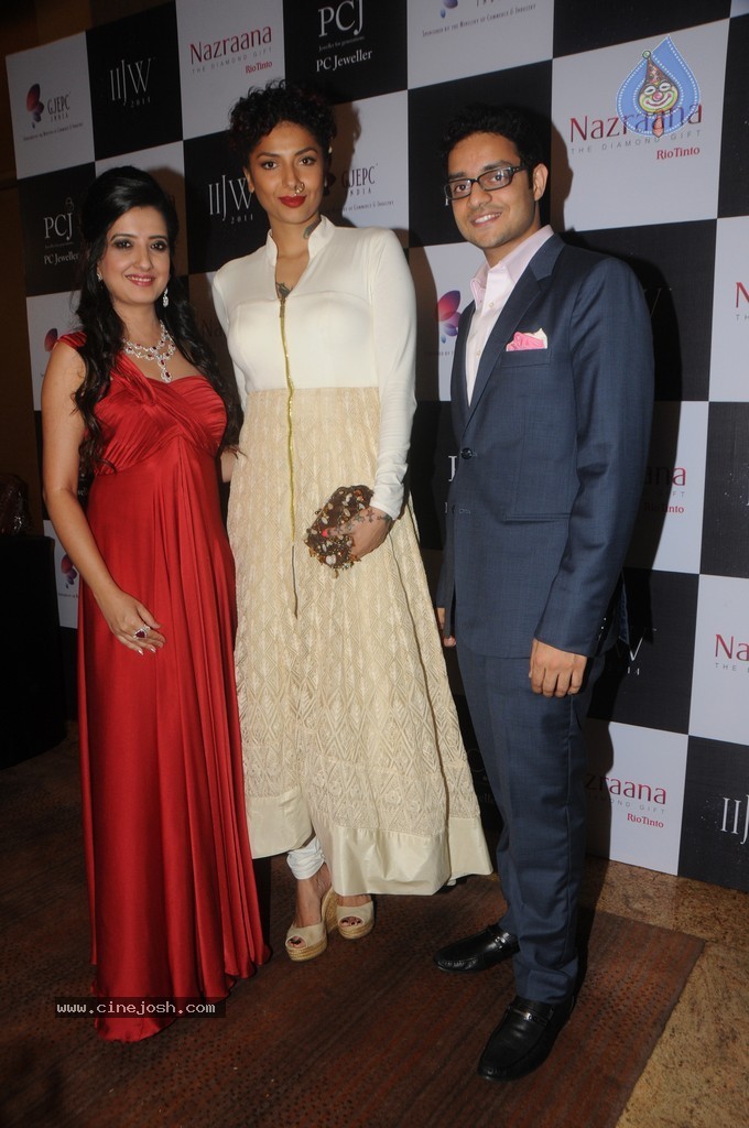 Bolly Celebs Walks the Ramp at IIJW 2014 - 143 / 152 photos