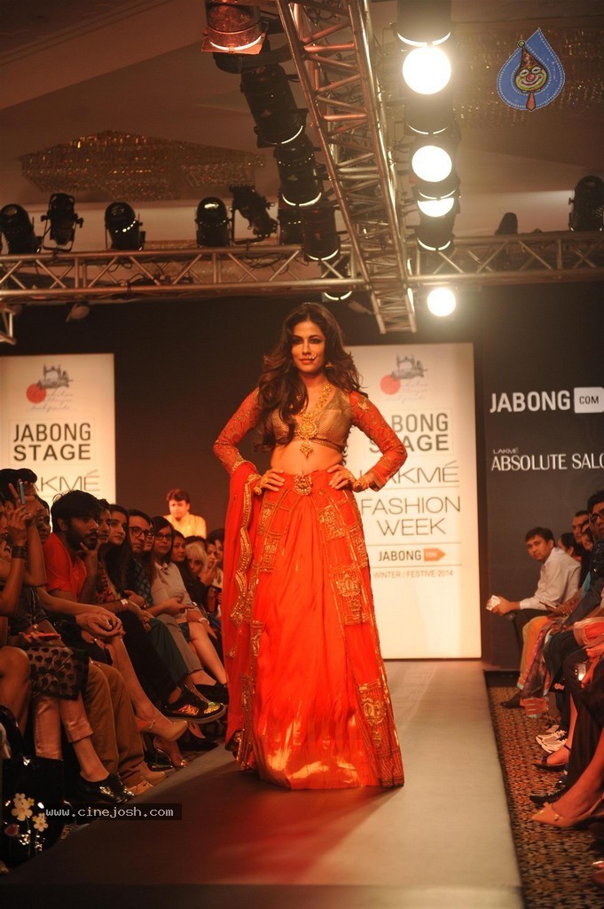 Hot Bolly Celebs Walks the Ramp at LFW 2014 - 92 / 187 photos