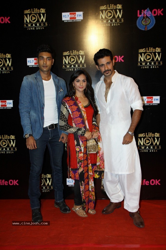 Hot Celebs at Big Life OK Awards 2014 - 14 / 125 photos