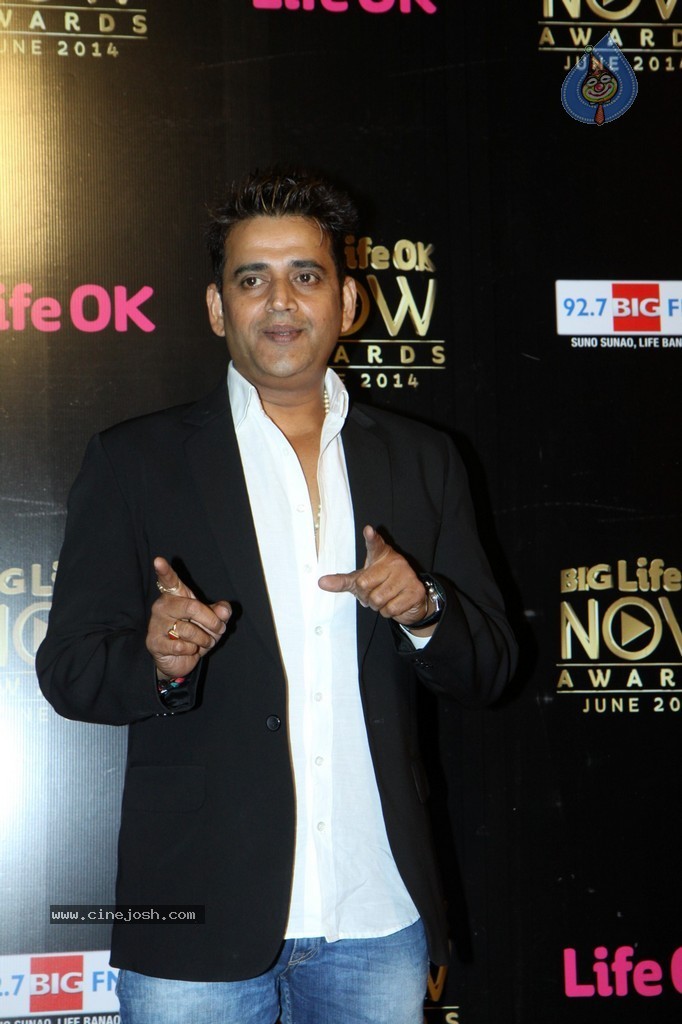 Hot Celebs at Big Life OK Awards 2014 - 41 / 125 photos