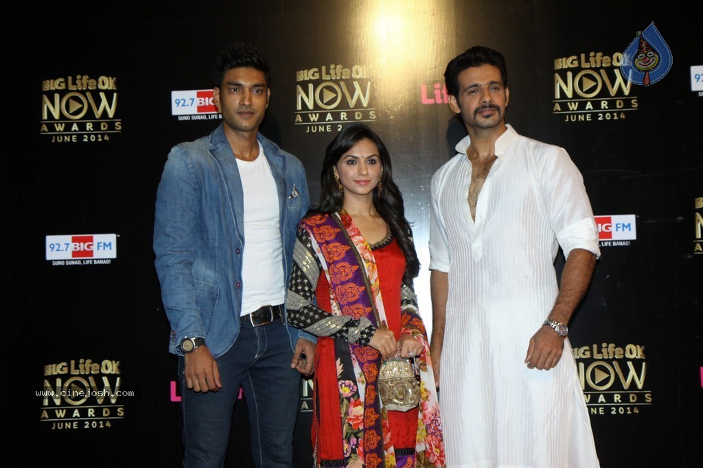 Hot Celebs at Big Life OK Awards 2014 - 69 / 125 photos