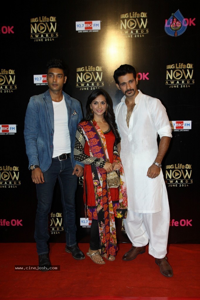 Hot Celebs at Big Life OK Awards 2014 - 99 / 125 photos