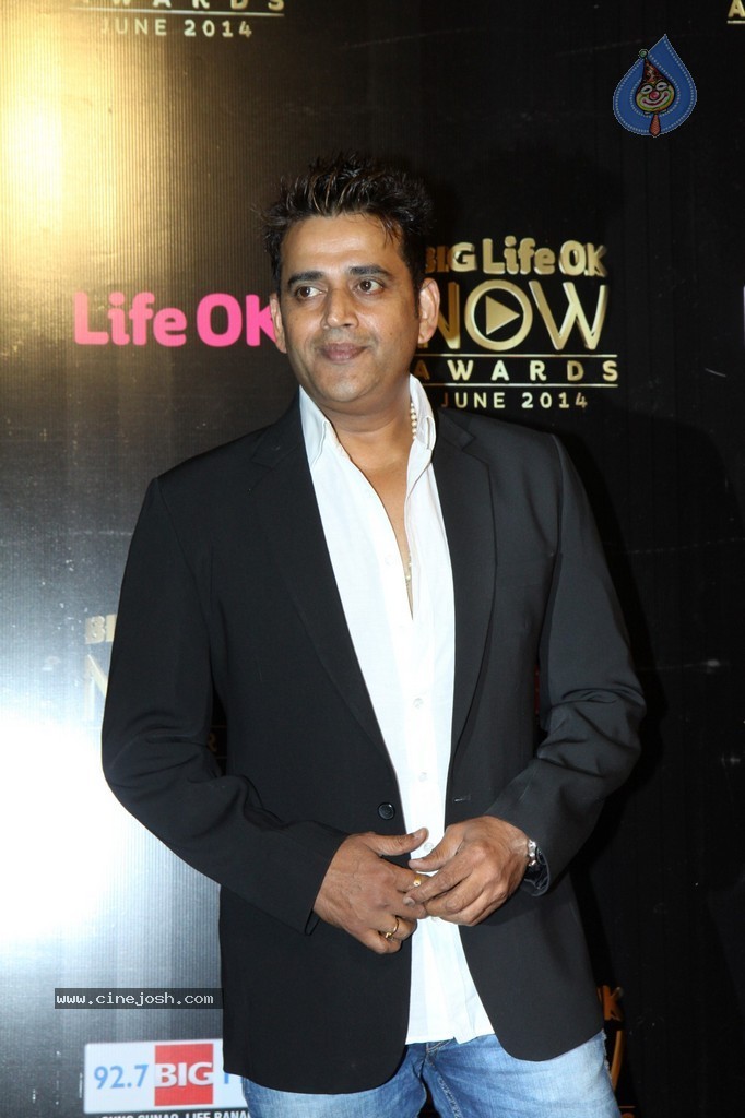 Hot Celebs at Big Life OK Awards 2014 - 106 / 125 photos