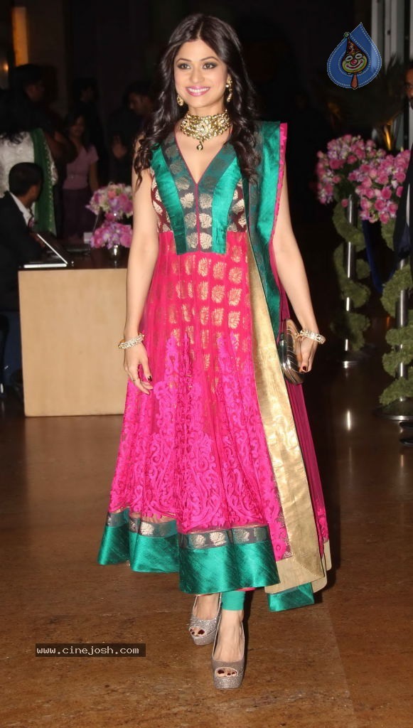 Hot Celebs at Deepshikha n Kaishav Sangeet Ceremony - 23 / 142 photos