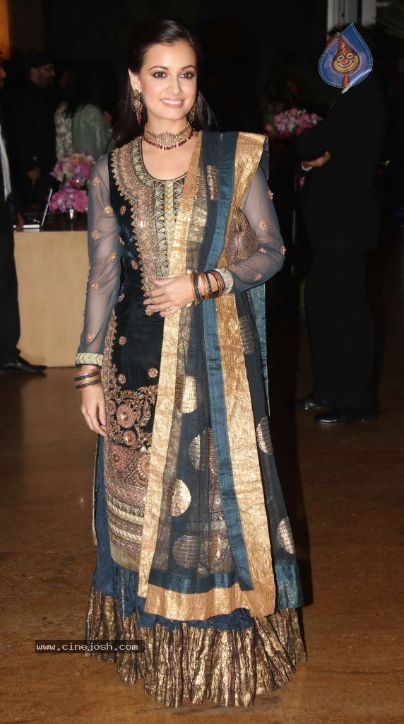 Hot Celebs at Deepshikha n Kaishav Sangeet Ceremony - 60 / 142 photos